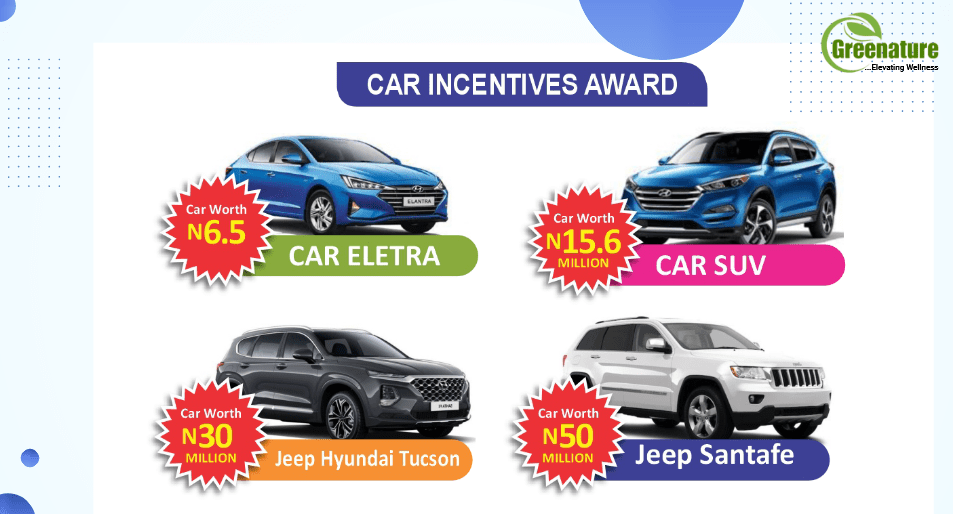 Car Incentives-min